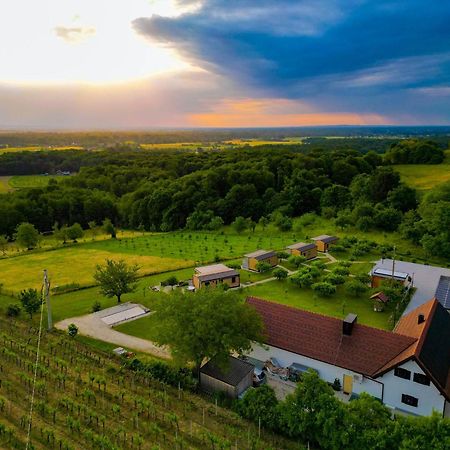 Vinea Panonika Wine & Mind Retreat Villa Radenci Eksteriør billede