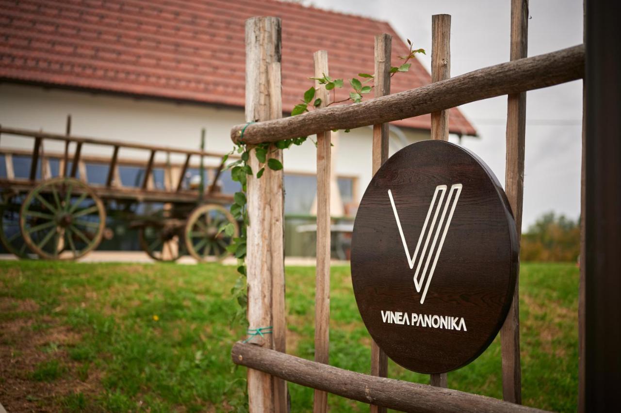 Vinea Panonika Wine & Mind Retreat Villa Radenci Eksteriør billede