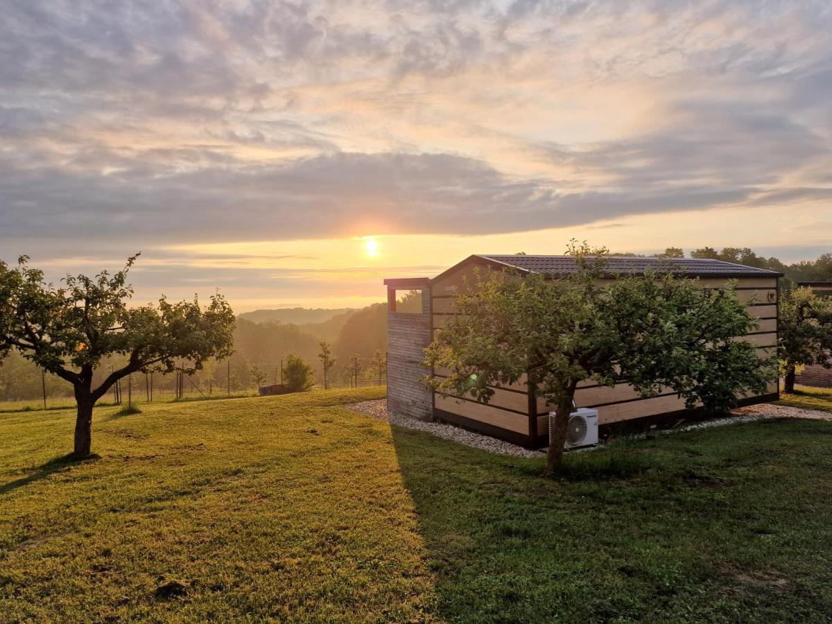 Vinea Panonika Wine & Mind Retreat Villa Radenci Eksteriør billede