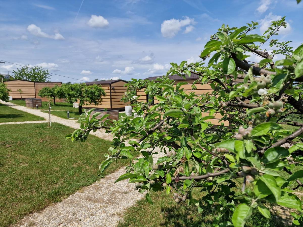 Vinea Panonika Wine & Mind Retreat Villa Radenci Eksteriør billede