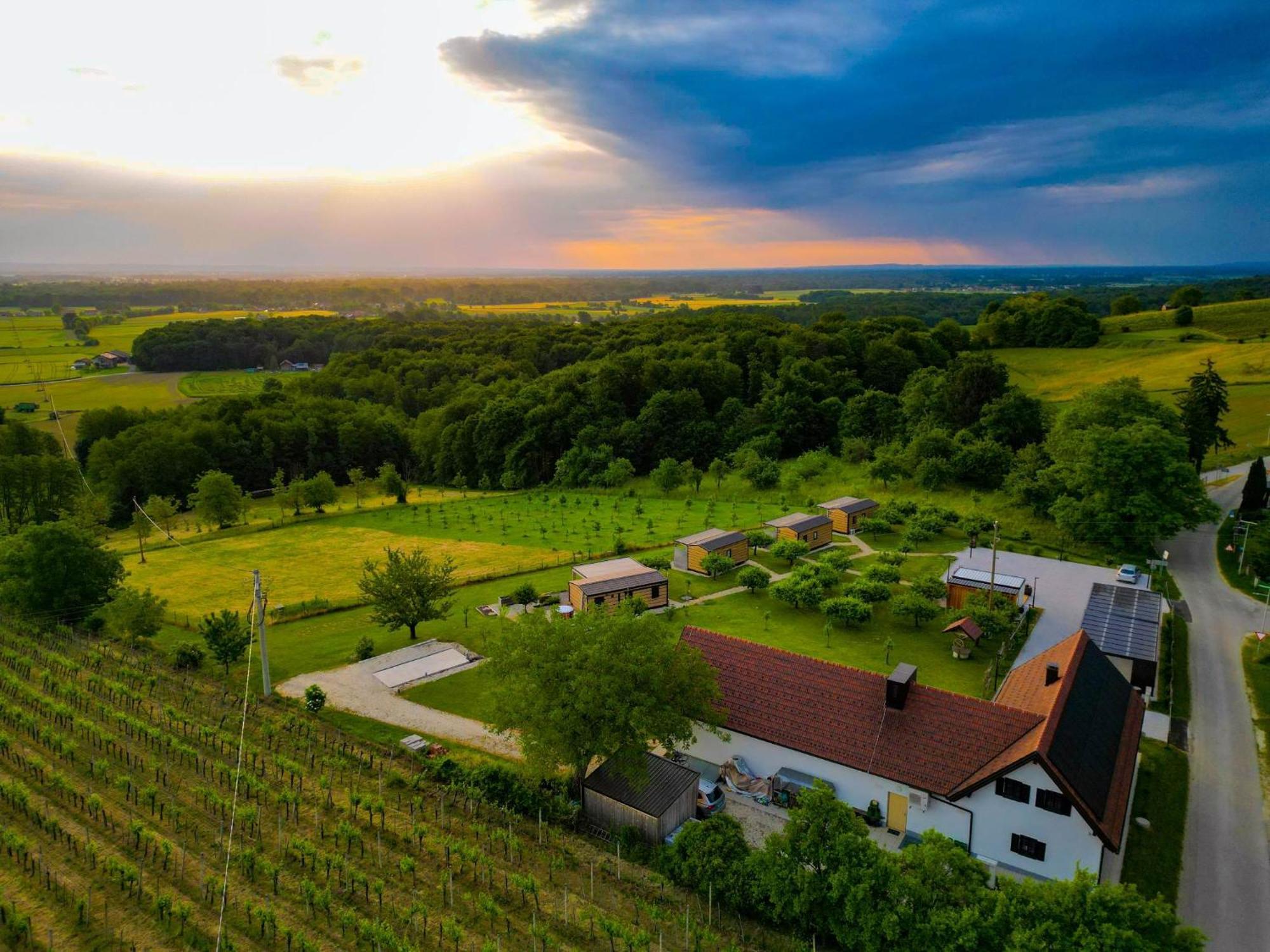 Vinea Panonika Wine & Mind Retreat Villa Radenci Eksteriør billede