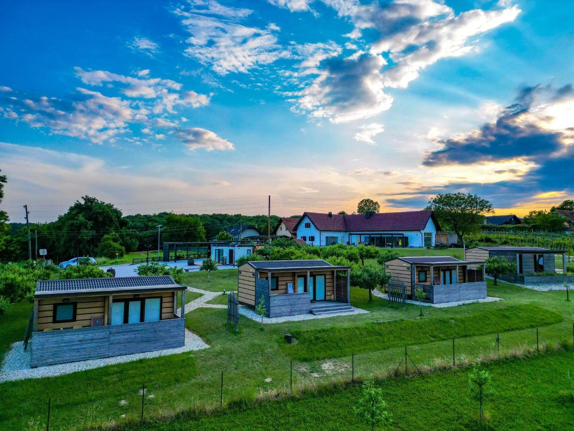 Vinea Panonika Wine & Mind Retreat Villa Radenci Eksteriør billede